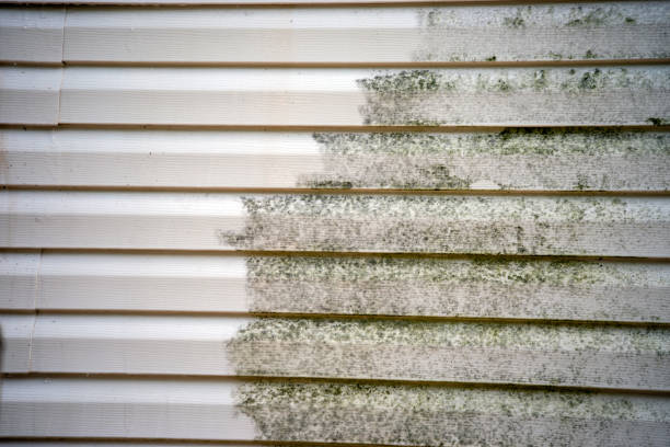 Best Storm Damage Siding Repair  in Lake Landor, VA