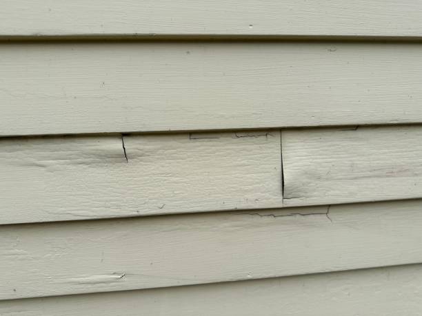 Best Siding for New Construction  in Lake Landor, VA